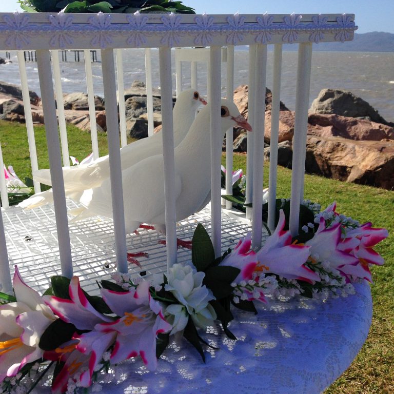 two white doves as part of a dove release ceremony at a wedding ceremony at the Strand, Townsville City QLD
